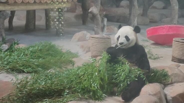 图片描述
