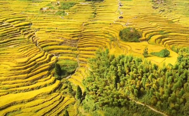 [丽水三日]＜仙都鼎湖峰-小赤壁-云和梯田-古堰画乡-芙蓉峡＞