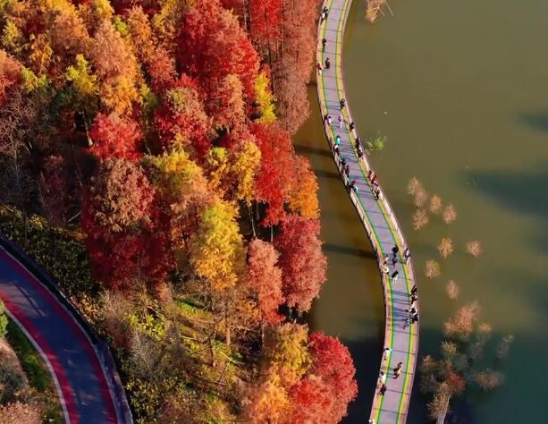 图片描述