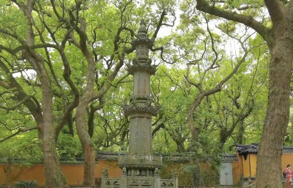 普陀山西天景区-普济寺-佛顶山慧济寺-法雨寺-紫竹林-南海观音二日游 二月份住宿为豪华农家