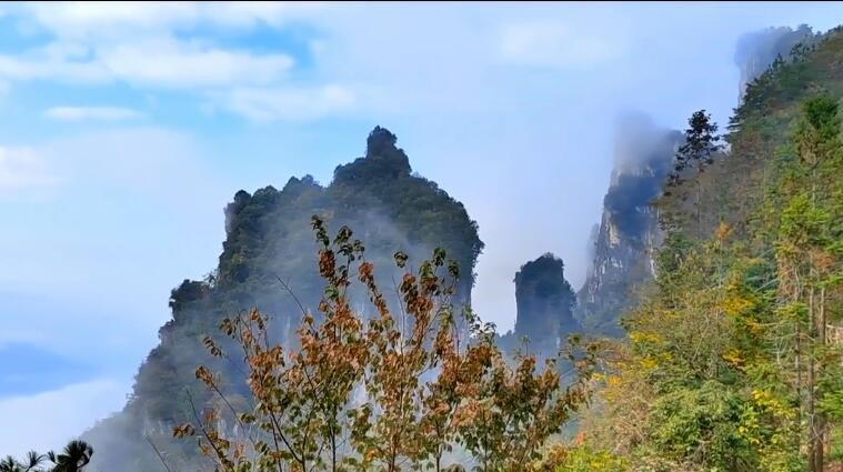 图片描述