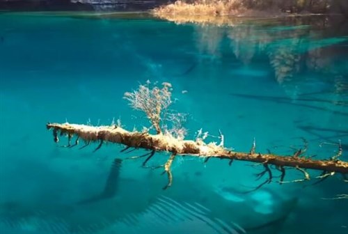 2023-2/20230227084413117368.jpg?0.2087478691430275